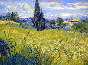 Vincent Van Gogh, Landscape with Green Corn